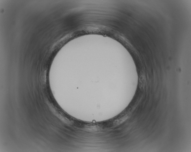 X0000084040454200703161835