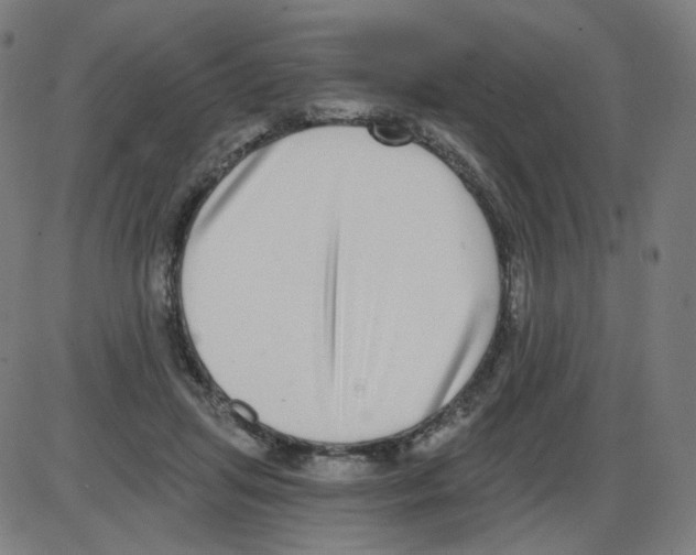 X0000084040455200703161835