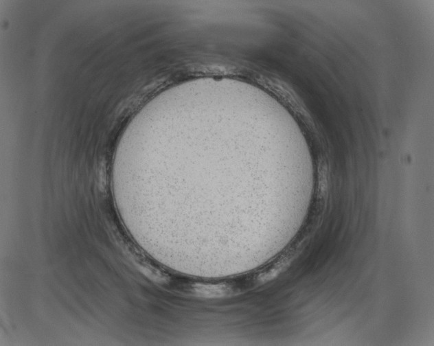 X0000084040457200703161835