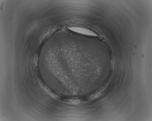 X0000084040458200703161835