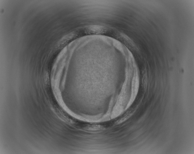 X0000084040459200703161835