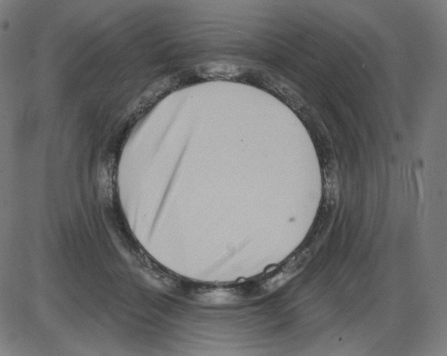 X0000084040460200703161836