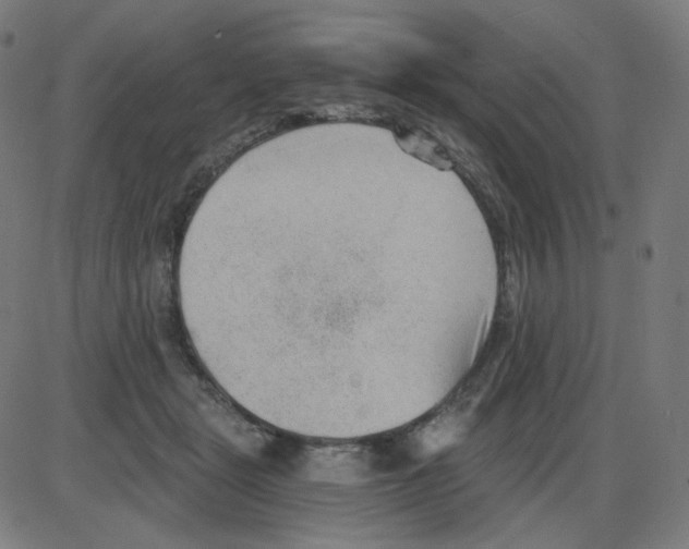 X0000084040461200703161836