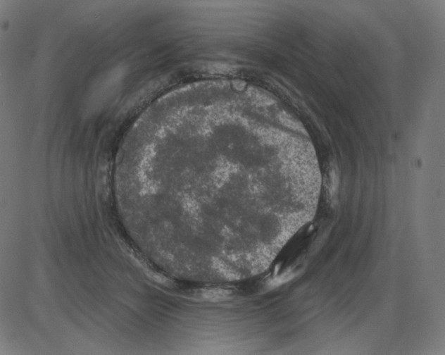 X0000084040462200703161836