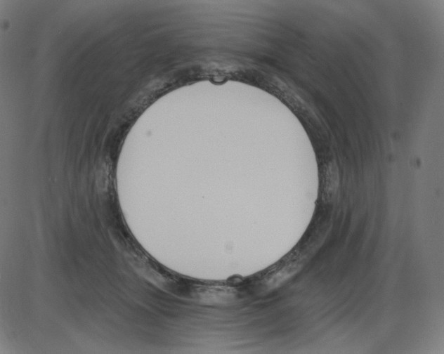 X0000084040463200703161836