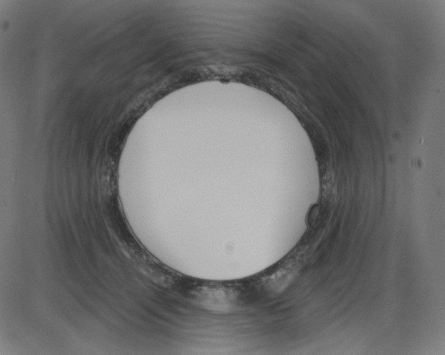 X0000084040464200703161836