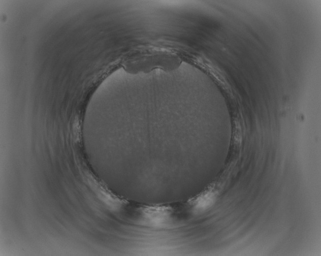 X0000084040465200703161836