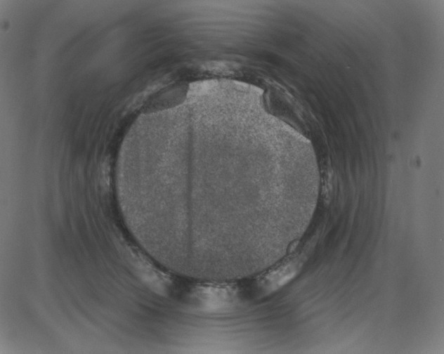 X0000084040466200703161836