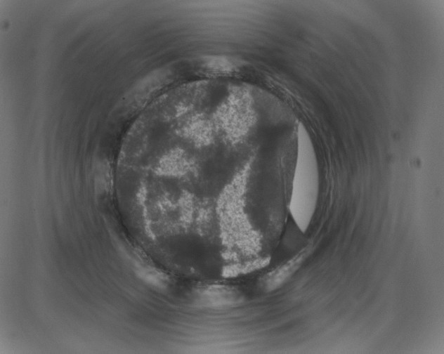 X0000084040467200703161836