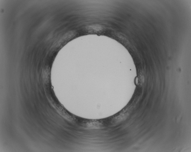 X0000084040468200703161836