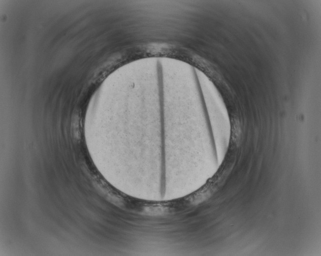 X0000084040470200703161836