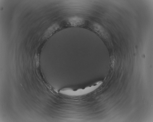 X0000084040471200703161836