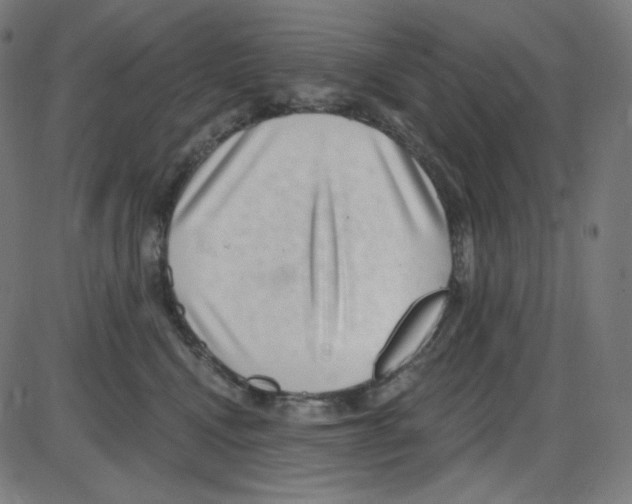 X0000084040472200703161836