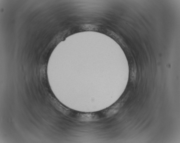 X0000084040473200703161836