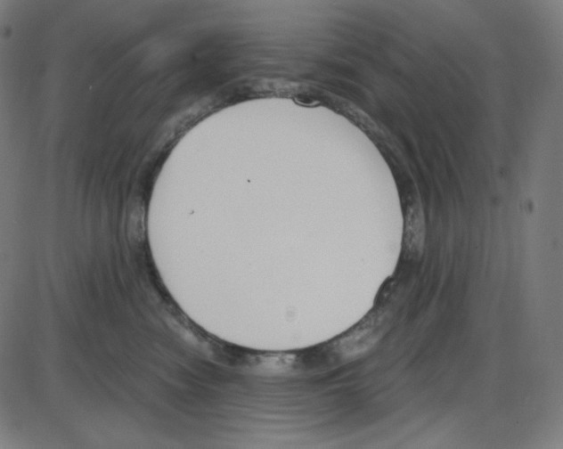 X0000084040474200703161836