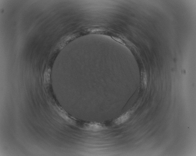 X0000084040475200703161836