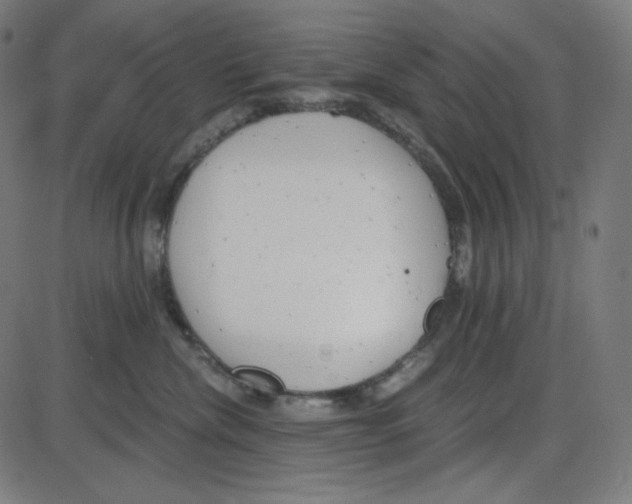 X0000084040476200703161836