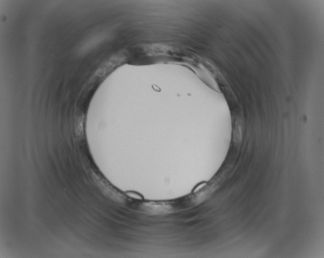 X0000084040477200703161836