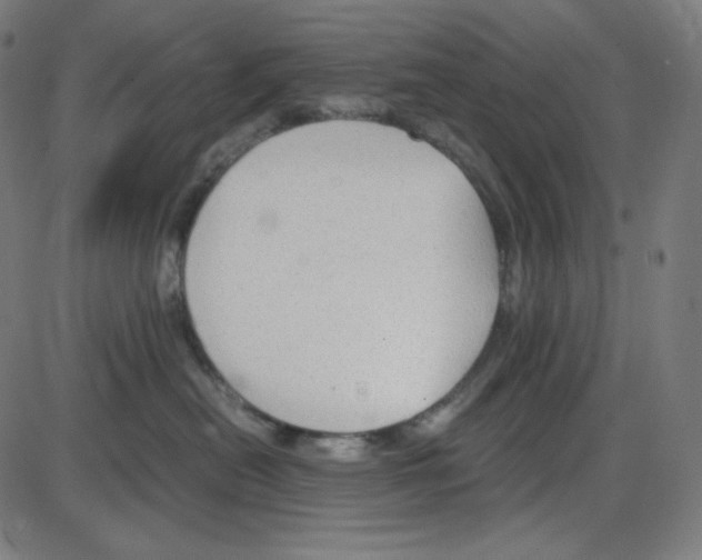 X0000084040478200703161836