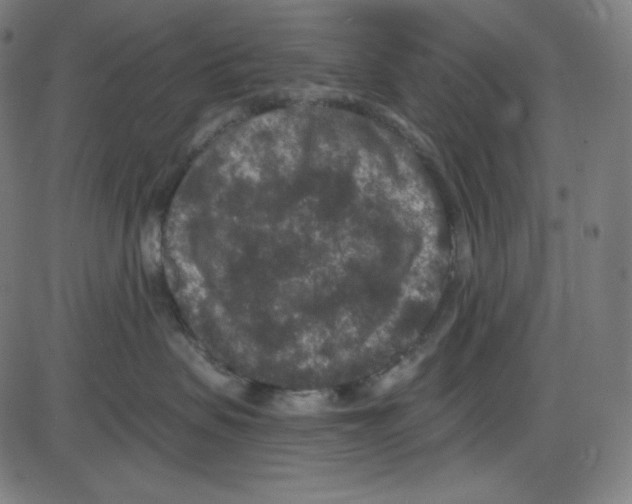 X0000084040479200703161836