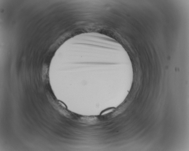 X0000084040480200703161836