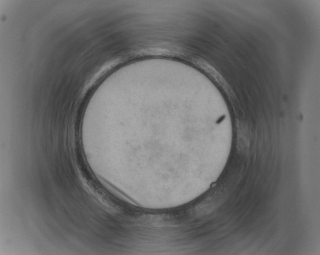 X0000084040482200703161835