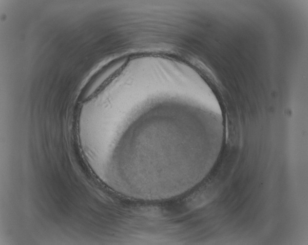 X0000084040483200703161835