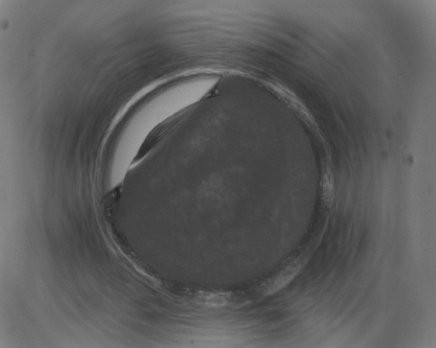 X0000084040484200703161835