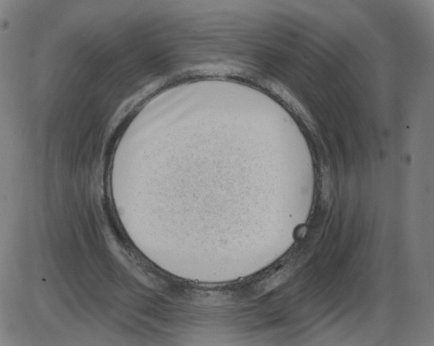 X0000084040486200703161835