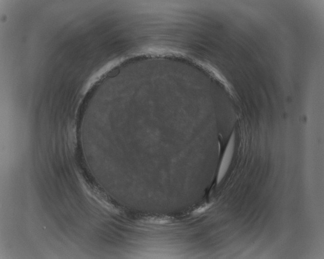 X0000084040488200703161835