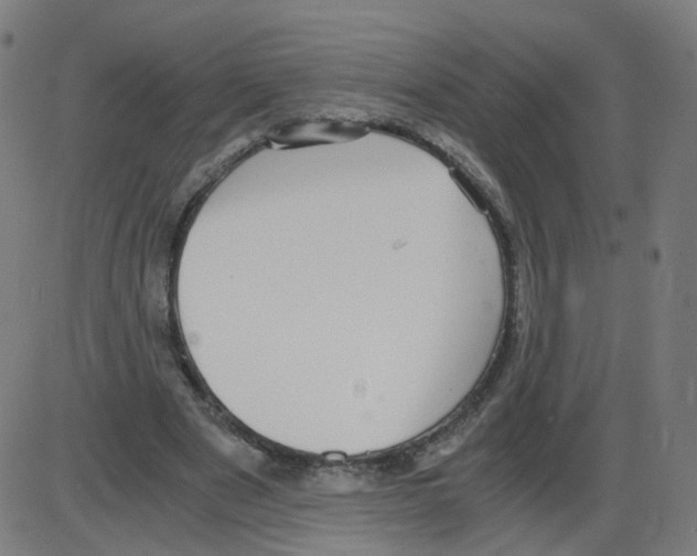 X0000084040489200703161835