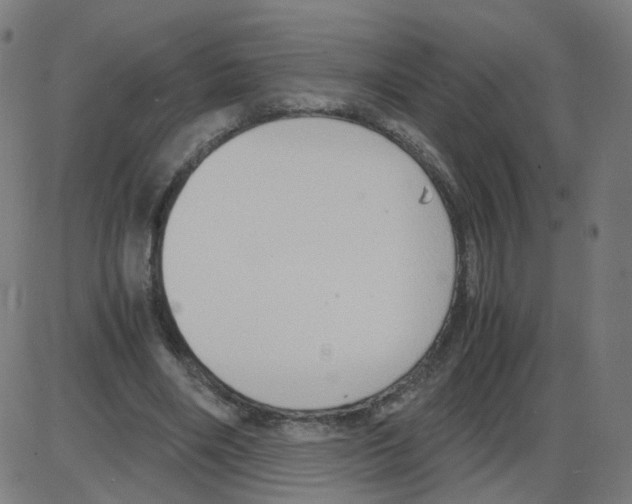 X0000084040490200703161835