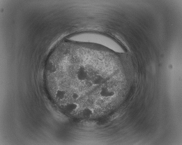 X0000084040491200703161835