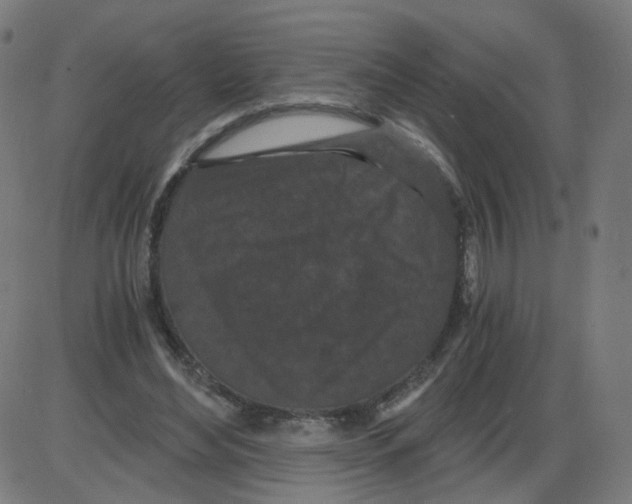 X0000084040492200703161835