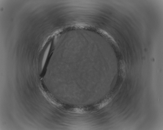 X0000084040496200703161835