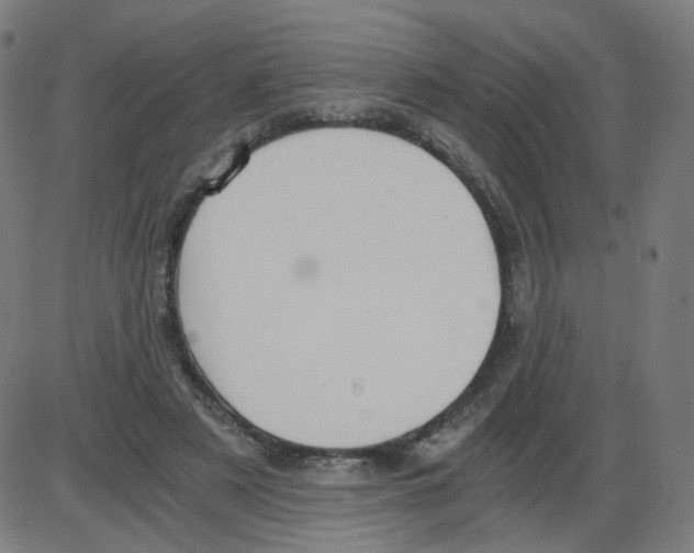 X0000084040497200703161835