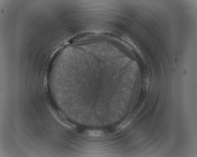 X0000084040500200703161835