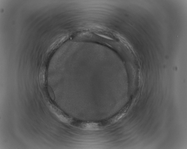 X0000084040501200703161835