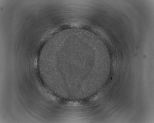 X0000084040502200703161835