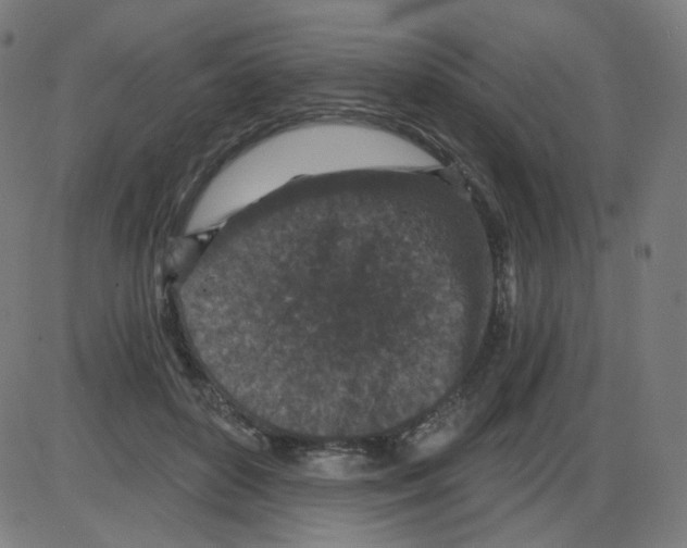 X0000084040504200703161835