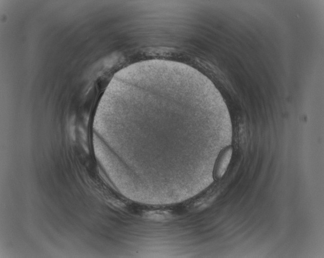 X0000084040508200703161835