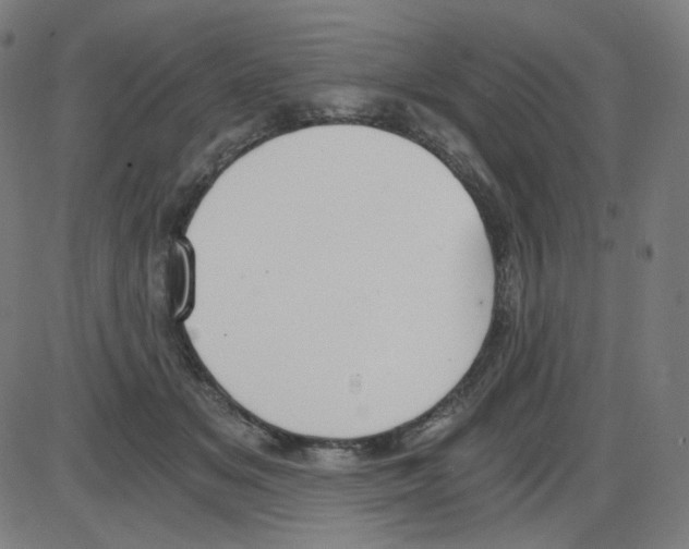 X0000084040509200703161835