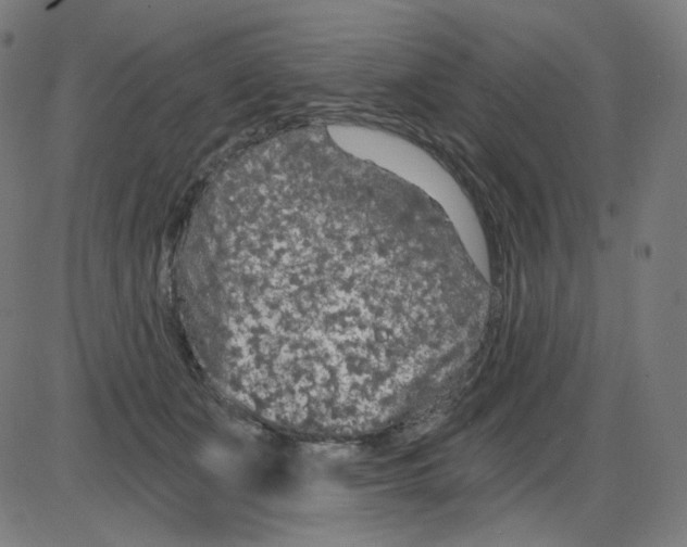 X0000084040511200703161835