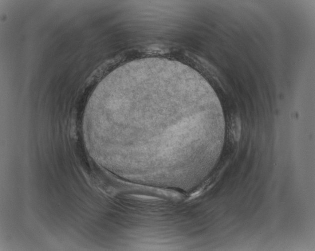 X0000084040512200703161835