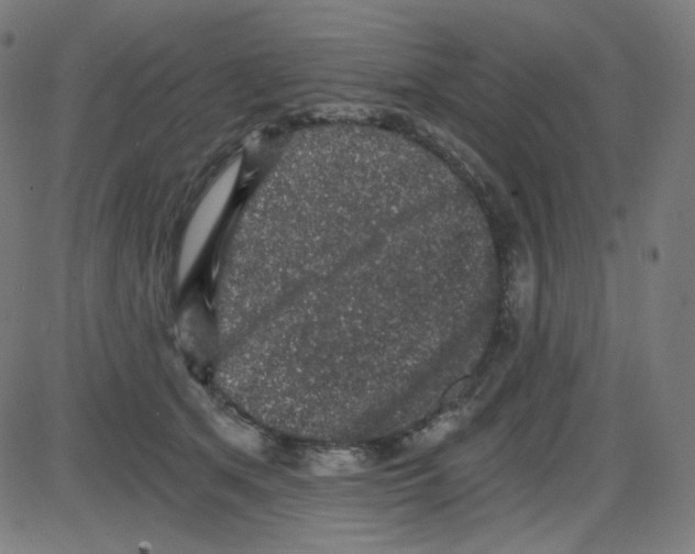 X0000084040513200703161835