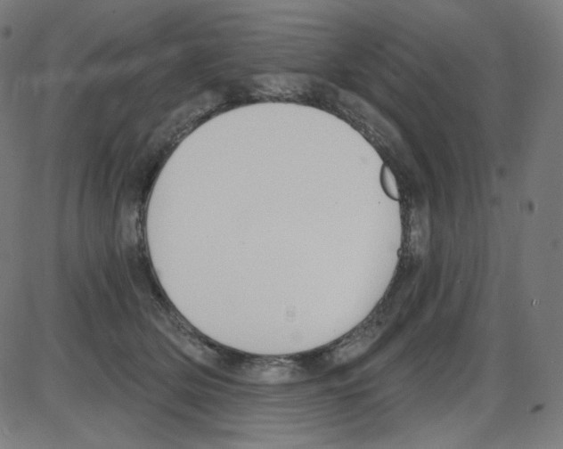 X0000084040514200703161835