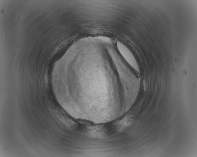 X0000084040516200703161834