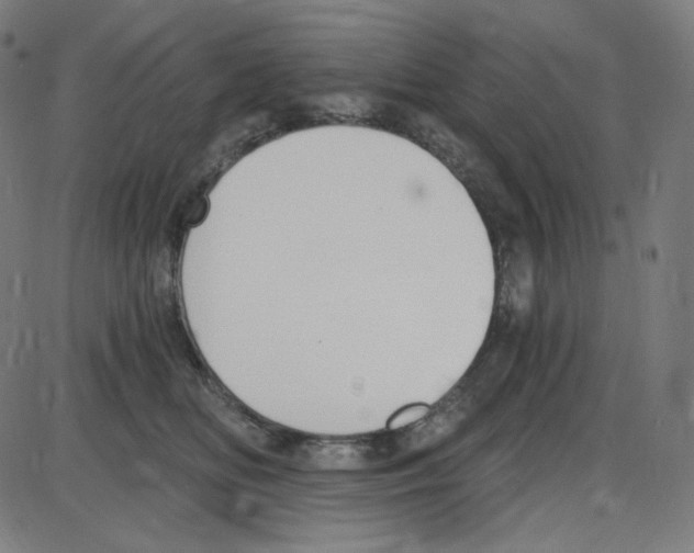 X0000084040518200703161834