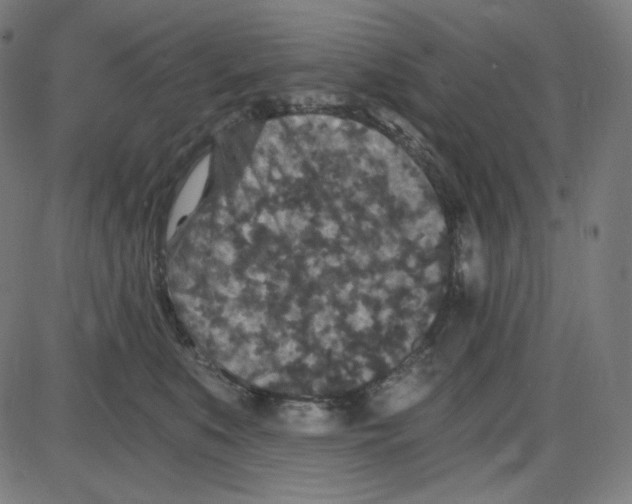 X0000084040519200703161834