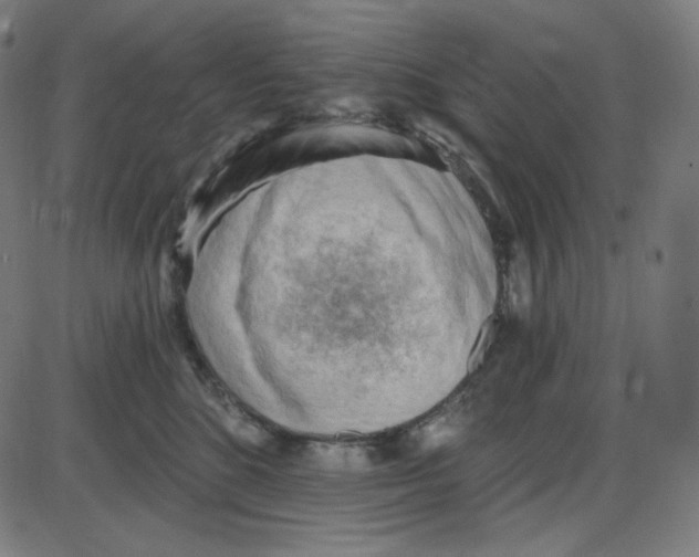 X0000084040520200703161834